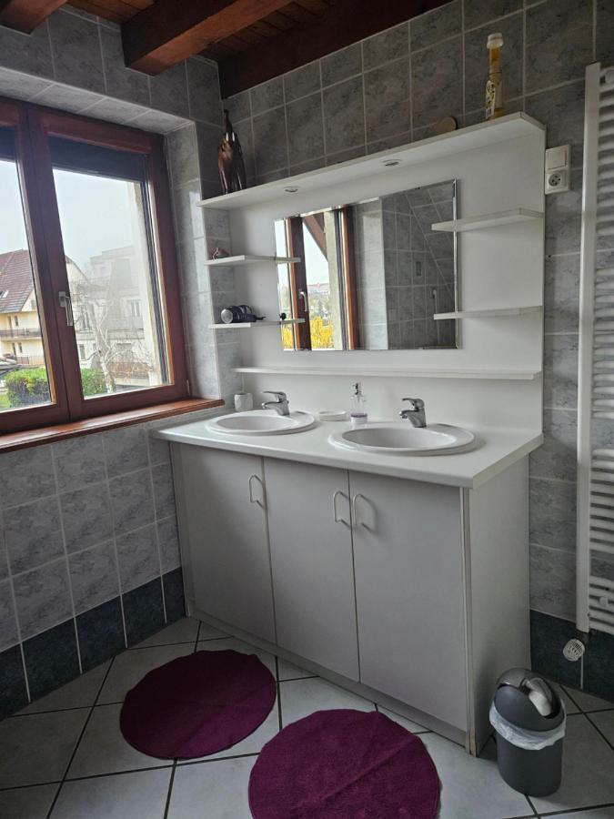 Gite Spacieux Au Coeur De L'Alsace 3*** Selestat Exterior photo