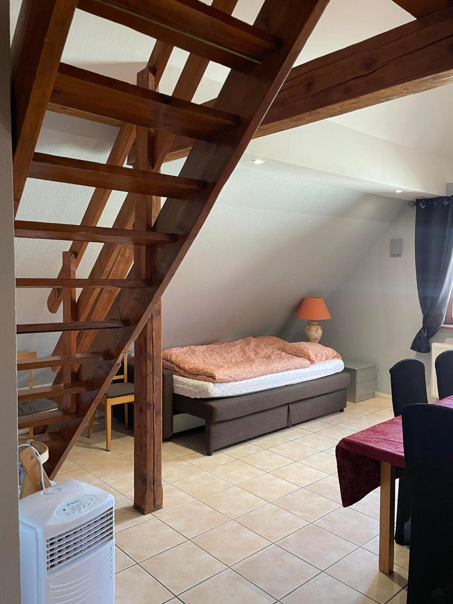 Gite Spacieux Au Coeur De L'Alsace 3*** Selestat Exterior photo